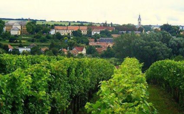 Bicskei borászok művei az élmezőnyben