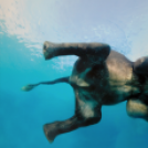 21 kalandos fotó, ami instant teleport a víz alatti világba