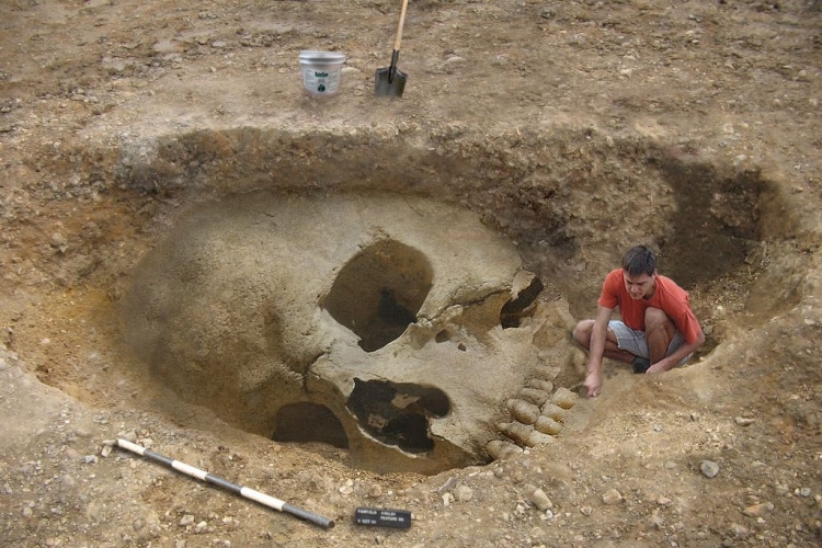A Smithonian intézet elismerte, hogy több ezer óriás koponyát semmisítettek meg az 1900-as évek elején