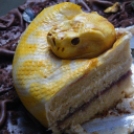 A világ legkreatívabb tortái (képriport)