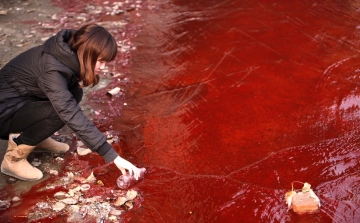 Gyógyszermaradványokkal vannak tele a kínai felszíni vizek