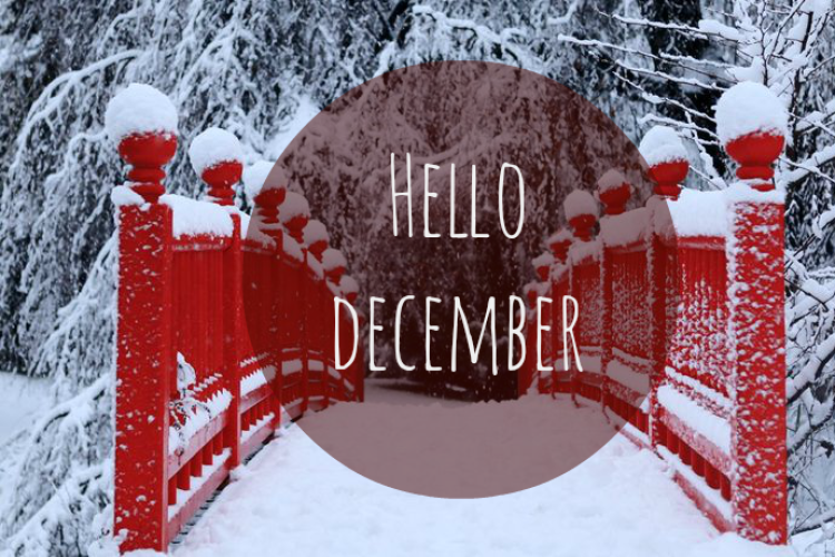 HELLÓ DECEMBER - Galéria