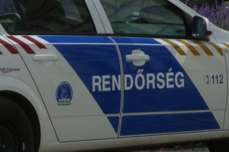 Kétezernél több védett madár tetemét találták meg Zalában egy román autóban
