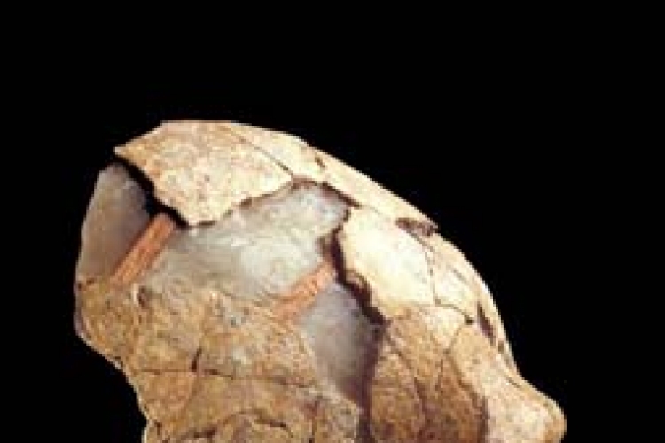 Csontrákos lehetett a Neander-völgyi ősember 