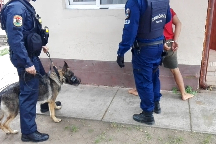 Emberkereskedő és futtató lőkösházi családot kaptak el a rendőrök