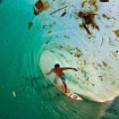 Megdöbbentő és szívszorító képek környezetünk pusztulásáról