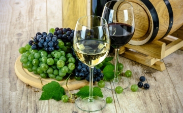 Fertőtlenítőszer készülhet az el nem fogyasztott olasz borokból