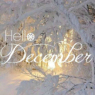 HELLÓ DECEMBER - Galéria