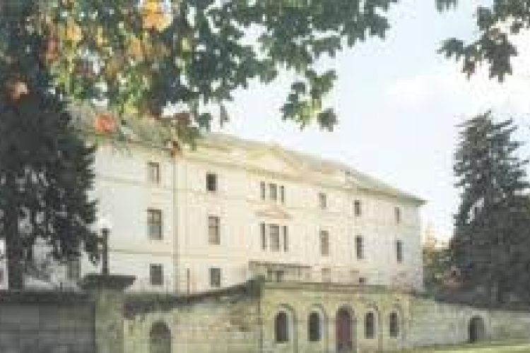 Négyszázmillió éves üledékes kőzetből hasított terméspala fedi a Batthyány kastélyt!