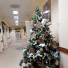 Magyarország legünnepibb állami klinikája – lenyűgöző fotók