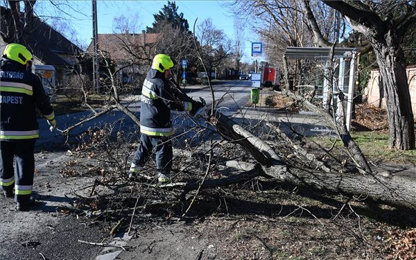 Rekordösszegű kárkifizetéseket is hozhat az idei viharszezon