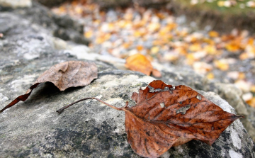 Változékony lesz az idő november utolsó napjaiban
