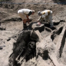 A Smithonian intézet elismerte, hogy több ezer óriás koponyát semmisítettek meg az 1900-as évek elején