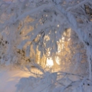 55 csodálatos téli pillanatkép