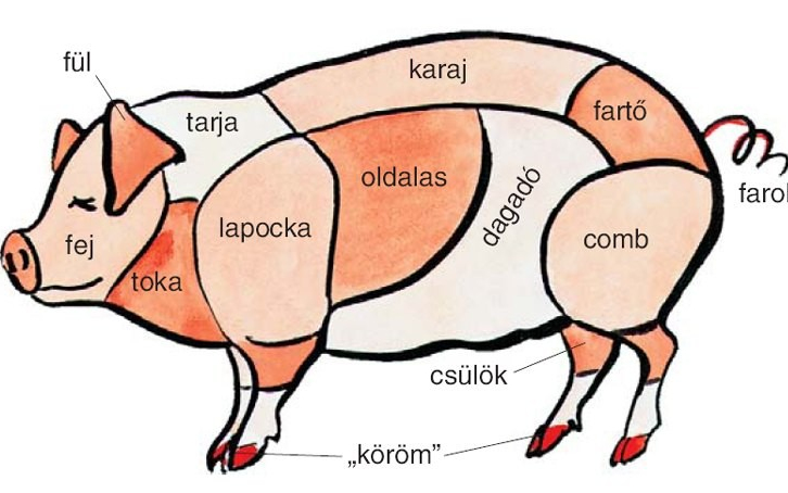 Konyhai alapok: mire jó a disznó tarja és a karaj? Avagy: ezt miért nem tanítják az iskolában?