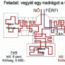 22 tipikus különbség a nők és a férfiak között