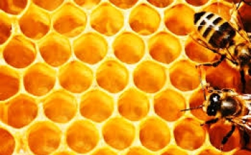 Méhpempő a babatervezéshez