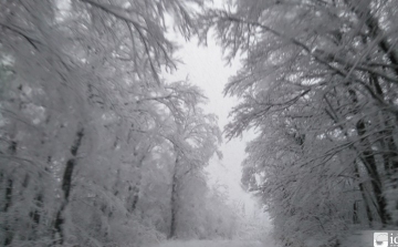 Horvátország: fél méter hó - Képek