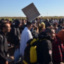 Újra kitörtek Röszkénél a migránsok: mentők is érkeztek - Galéria