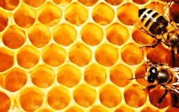 Méhpempő a babatervezéshez