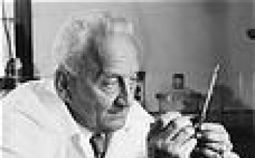 110 éve született Szent-Györgyi Albert