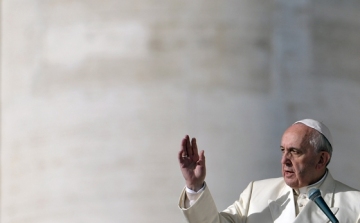 Ferenc pápa szavaira sok pap összerezzenhetett
