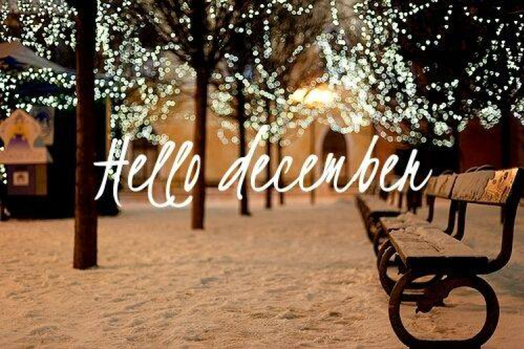 HELLÓ DECEMBER - Galéria