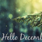 HELLÓ DECEMBER - Galéria