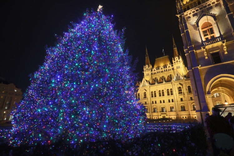 Apcról érkezik az ország karácsonyfája