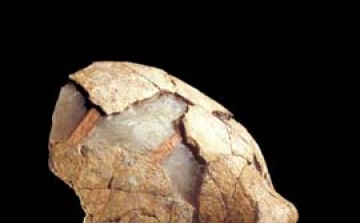 Csontrákos lehetett a Neander-völgyi ősember 