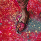 Holi – 33 káprázatos fotó a világ legszínesebb ünnepéről