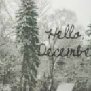 HELLÓ DECEMBER - Galéria