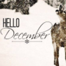 HELLÓ DECEMBER - Galéria