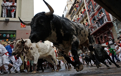 Pokol a bikák számára a híres pamplonai bikafuttatás állatvédők szerint