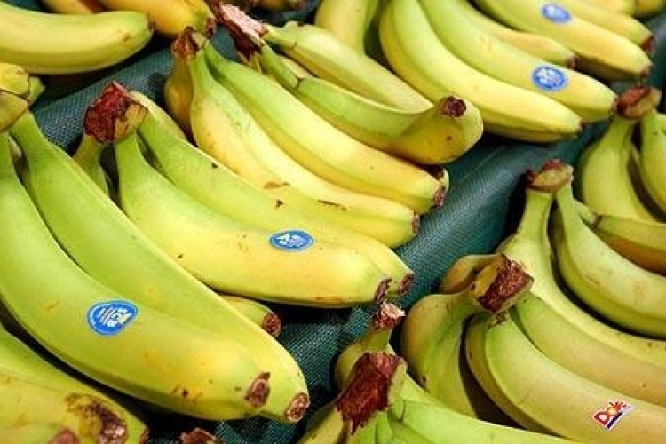 140 kiló kokaint találtak a banánok között