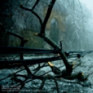 Apokaliptikus képek a jégbe fagyott Normafáról