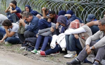 Kerítést épít a határra Ausztria is - migránsválság percről percre
