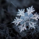 Lélegzetelállító képek hópelyhekről
