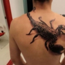 Elképesztő és őrült 3D-s tetoválások