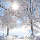Téli mesevilág a természetben – 22 lenyűgöző fotó
