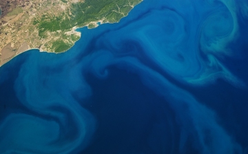 Látványos planktonvirágzás a Fekete-tengeren 