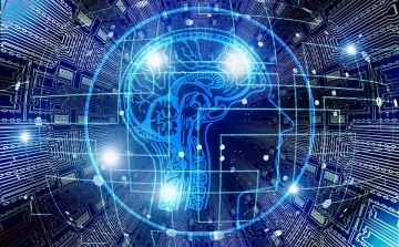 Az emberi agy és a mesterséges intelligencia működését kutatják az MTA kutatói