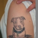 Állat tetoválások
