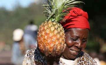 Ezért hatásos az ananász a fogyókúra során 