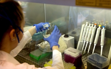Elkezdődött az első orosz vakcina klinikai tesztelésének harmadik szakasza