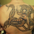 Állat tetoválások
