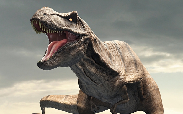 Újabb T. rex-fosszíliára bukkantak a montanai őshüllő-lelőhelyen