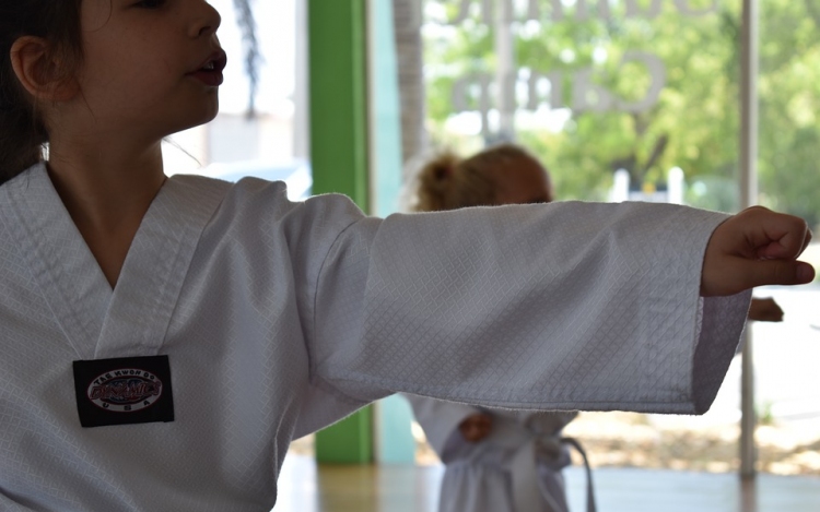 Megállapodtak az iskolai karateoktatásról