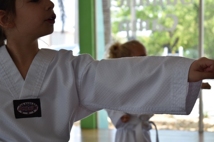 Megállapodtak az iskolai karateoktatásról