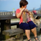 Egy japán sziget tüneményes tapsifülesei – 21 cuki nyulas fotó